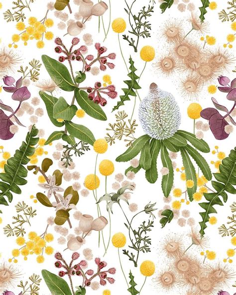 Mirellabruno Botanical Wallpaper Australian Native Flowers Animal Mural