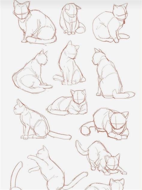 Paw Drawing Cats Art Drawing Book Art Drawings Anime Drawings