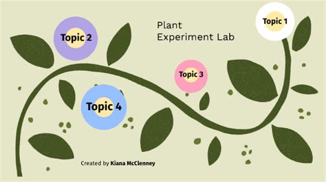 Plant Lab Experiment By Kiana Mcclenney