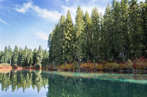 Fall Color Clear Lake Oregon Linn County Clear Lake Oregon Travel