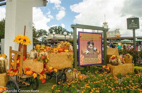There are 2276 decorate disney for sale on etsy, and they cost £6.94 on average. Disney is Decorated for Halloween | Orlando Connections