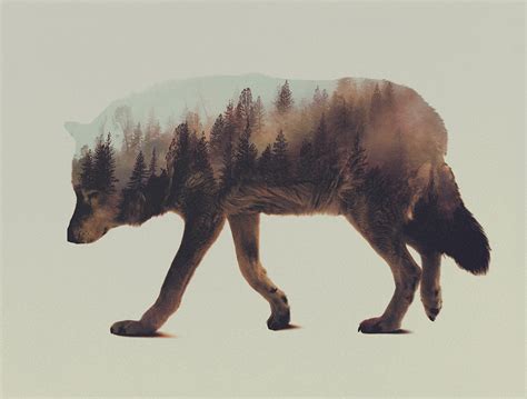 Stunning Double Exposure Animal Portraits We Are Wildness