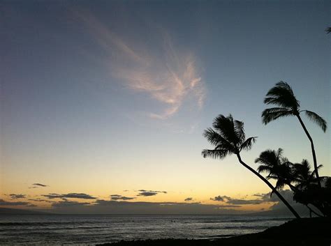 Hawaiian Sunset Clouds Palm Trees Ocean Beach Photograph By Deborah League