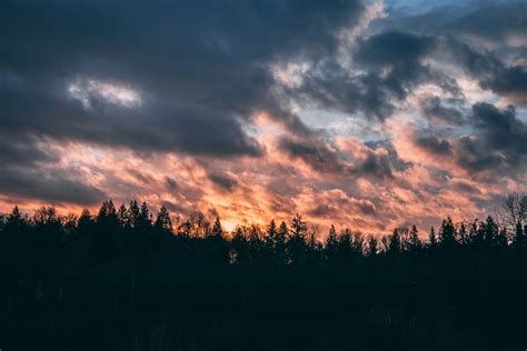 Clouds Trees Sky Sunset High Quality Wallpapershigh Definition Wallpapers