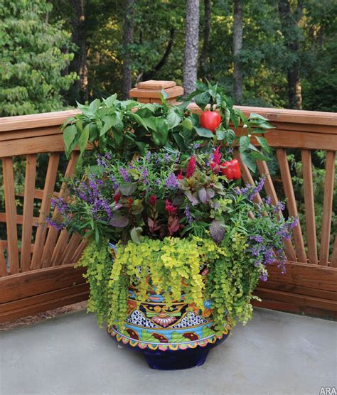 Practical Meets Pretty Container Gardening For Beauty And