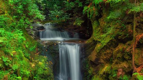 Beautiful Nature Waterfall Stream Stone Rock Between Green Trees Bushes