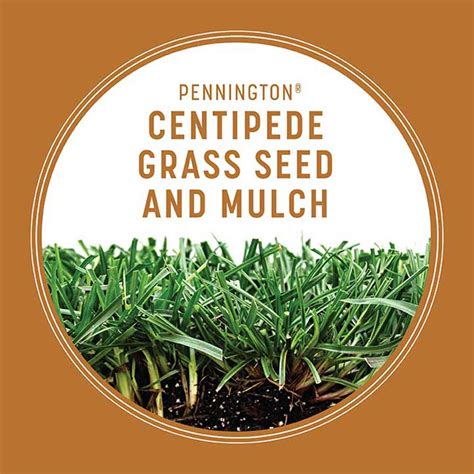 Centipede Seed And Mulch Pennington