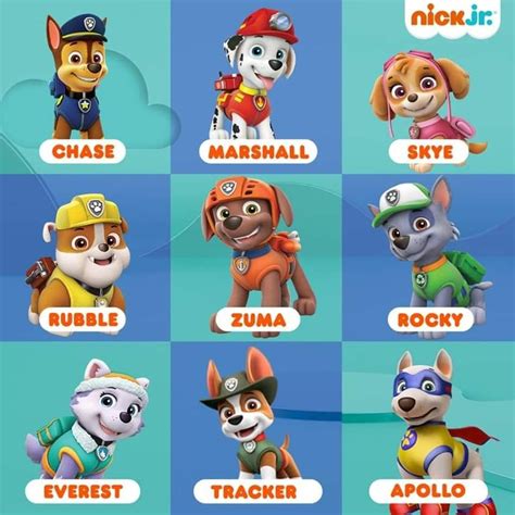 Paw Patrol Colors And Names Bornmodernbaby