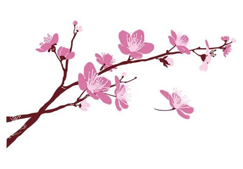 Blossoms Clipart Free Download On Clipartmag