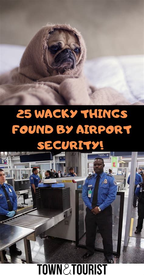 25 Strange Things Found By Airport Security Unusual Things Found From