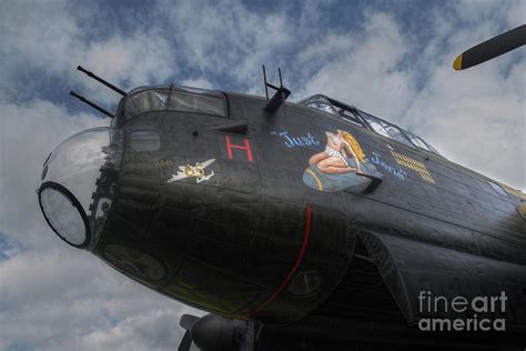 Just Jane Nose Art Digital Art By Nigel Bangert Pixels