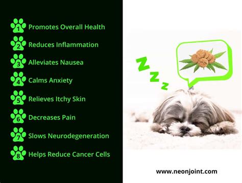 Your pet can also feel pain especially if they are in a bad condition. How to Use CBD Oil for Dogs and Pets · Neonjoint