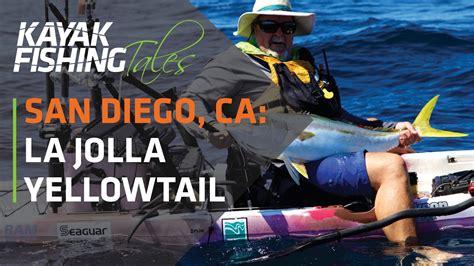 Kayak Fish For Yellowtail In La Jolla San Diego California Youtube
