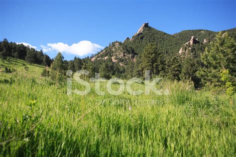 Grassy Hillside And Peak Stock Photo Royalty Free Freeimages