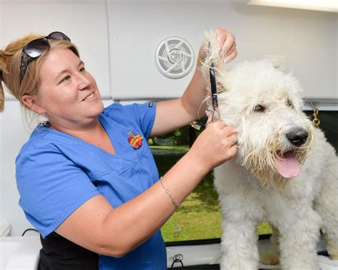 Aussie pet mobile is a quality pet grooming service that offers an exceptional full service grooming experience for your pets in a stress free environment in full comfort and safety right in your driveway. Photo Gallery - Aussie Pet Mobile NW Metro Denver
