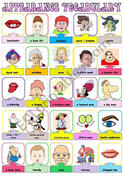 Appearance Vocabulary Esl Worksheet By Karagozian