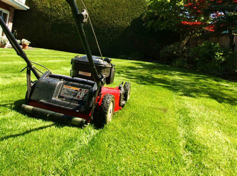 What are the benefits to diy lawn care? Myths vs. Reality: Lawn Care & Maintenance | Massey ...