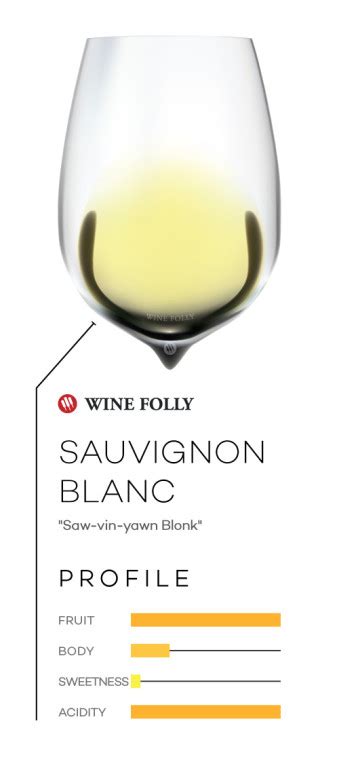 Enthusiasts Guide To Sauvignon Blanc Wine Folly