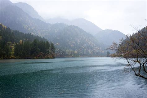 144 Panda Lake Jiuzhaigou National Park Stock Photos Free And Royalty