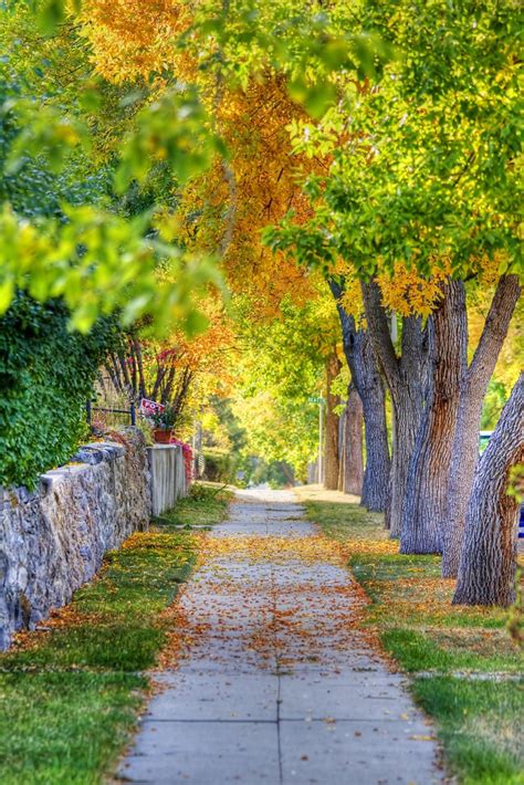 Autumn Sidewalk In Hdr Pretty Please View On Black Flickr
