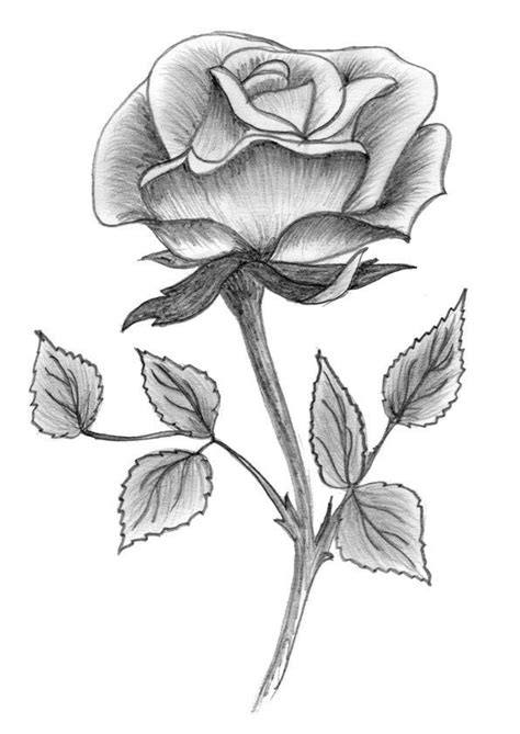 10 Mesmerising Drawing Flowers Mandala Ideas Pencil Drawings Of