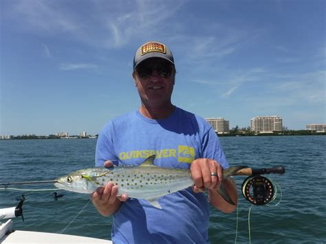 Fishing In Sarasota A Complete Guide Siesta Key Fishing Charters