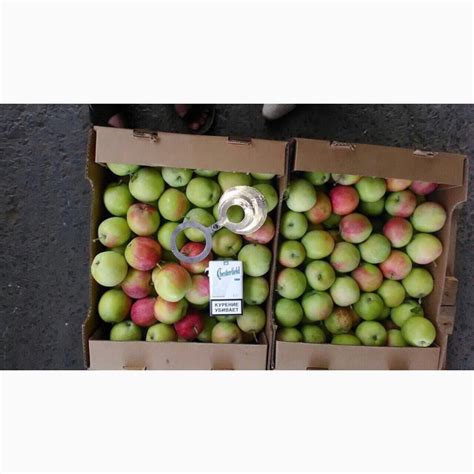 Продам яблоки оптом от производителя, купить яблоки оптом от ...