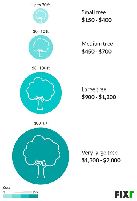 2020 Tree Removal Cost Cost To Cut Down A Tree