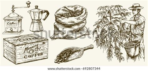 Farmer Picking Coffee Beans Canvas Bag Stock Vector Royalty Free