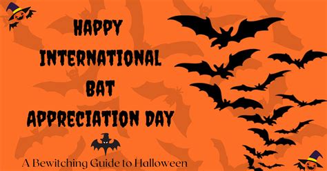 A Bewitching Guide To Halloween Happy International Bat Appreciation