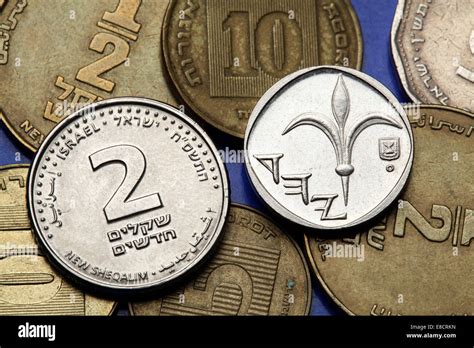 Coins Of Israel Lily Depicted In The Israeli One New Shekel Coin And The Israeli Two New
