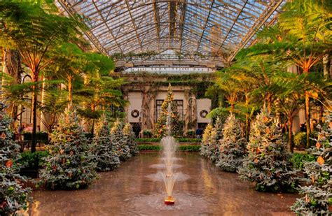Christmas Trees Inside The Conservatory At Longwood Gardens Pen
