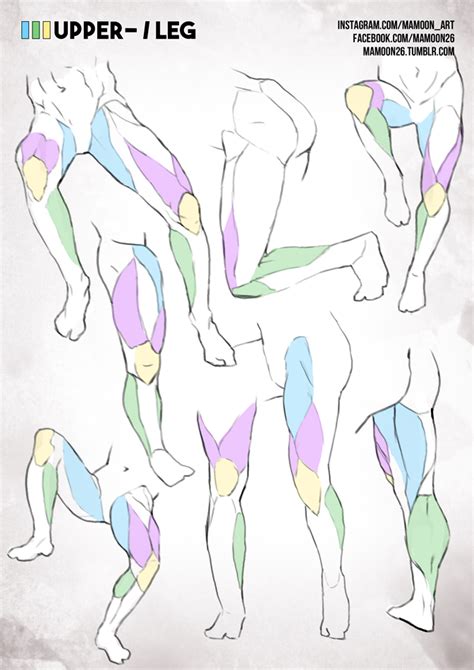 Simplified Anatomy Male Leg By Mamoonart On Deviantart Human