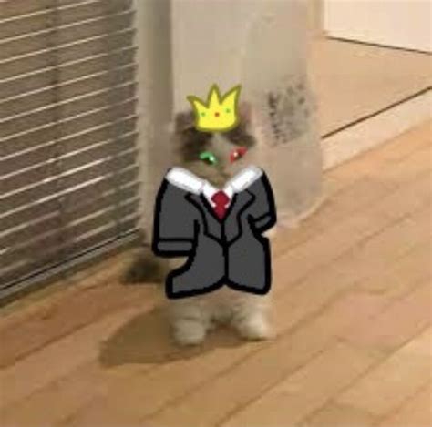 Ranboo Standing Cat Meme Sticker By Ghnguyen Funny Cat Wallpaper Cat