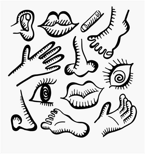 Body Parts Clipart Black And White 10 Free Cliparts Download Images