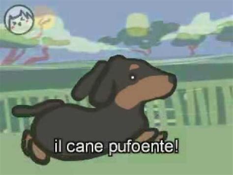 Ricorda, innanzitutto, che nessuno ti può vietare di acquistare un cane, purché vengano rispettate certe regole anche da parte del venditore. Il cane pufoente - YouTube