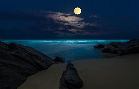 Moon Night Beach Full Moon The Sea Ocean Wallpaper
