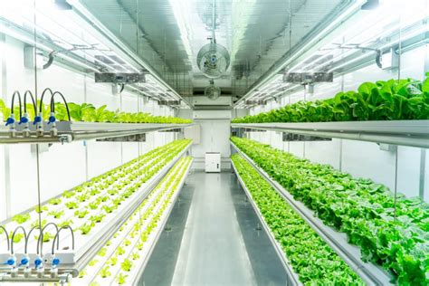 transforming agriculture with technology container based vertical farming market