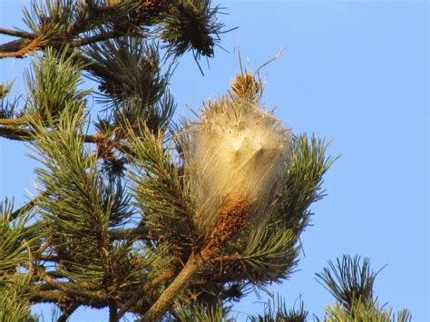 We did not find results for: Entre France,Estonie...telle est l'Europe: Petit post sur ...