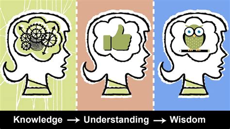 Differences Between Knowledge Wisdom And Understanding Yourdictionary