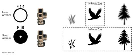 14 What Is Depth Of Field In Photography Mastering Photography