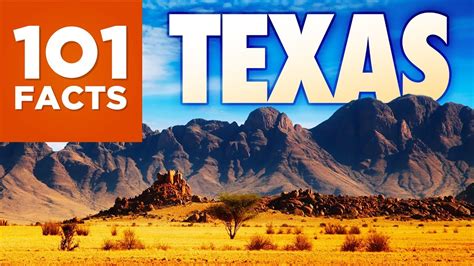 101 Facts About Texas Youtube