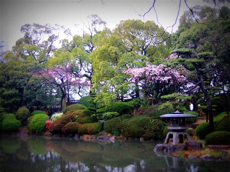 Check out updated best hotels & restaurants near nishinomaru garden, located in osaka castle, is famous for its gorgeous cherry blossom trees. Nishinomaru Garden & Sakura | This small pond is part of ...