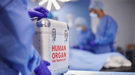 Trasplantes De órganos 7 Cosas Que No Sabías PortalclÍnic