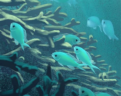 Download Wallpaper 1280x1024 Fish Algae Sea Underwater Art Standard