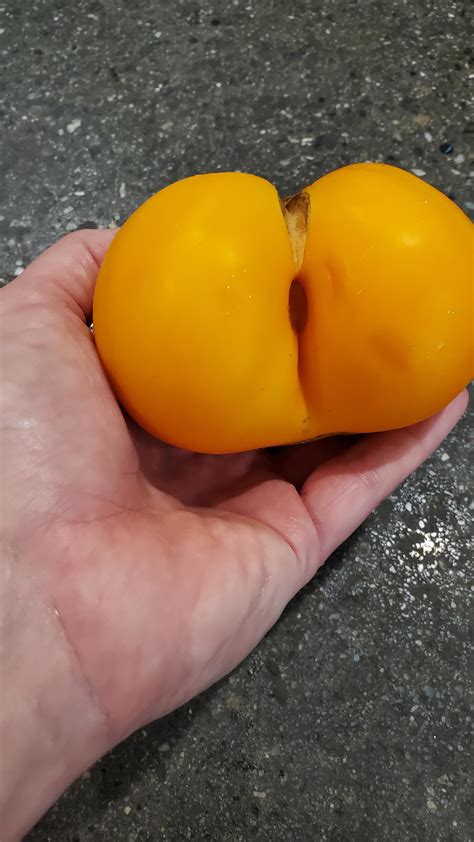 Slightly Aroused By The Tomato I Picked Today [nsfw Maybe] R Pics