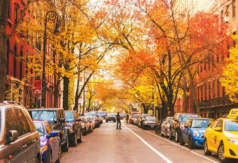 Autumn In New York East Village Fall Foliage Taken Today Flickr