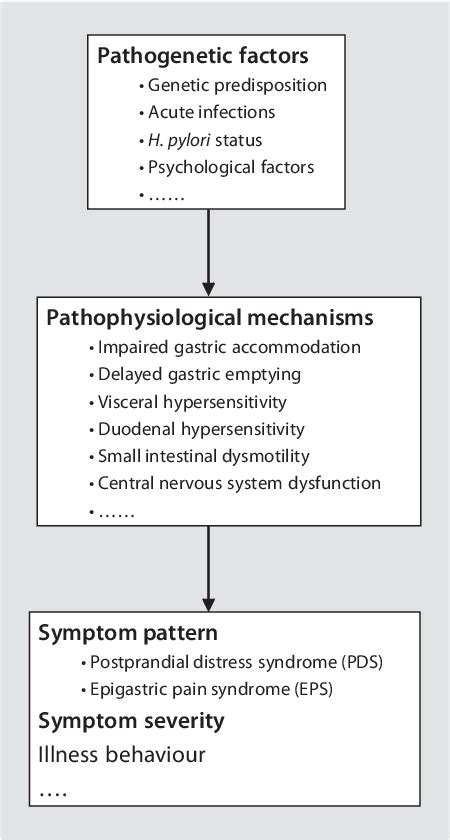 Figure From Pathogenesis Of Dyspepsia Semantic Scholar