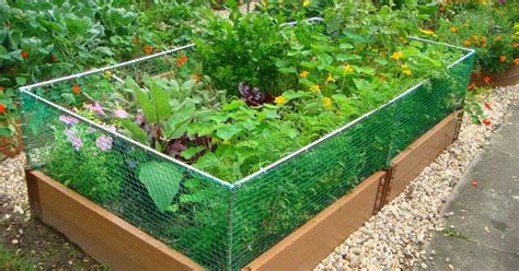 Build raised beds from cedar fencing | preparednessmama. Raised Bed Rabbit Fence