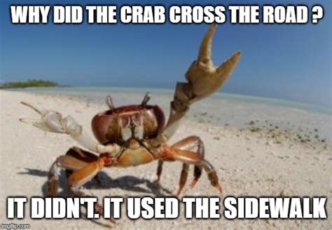 Crab Imgflip